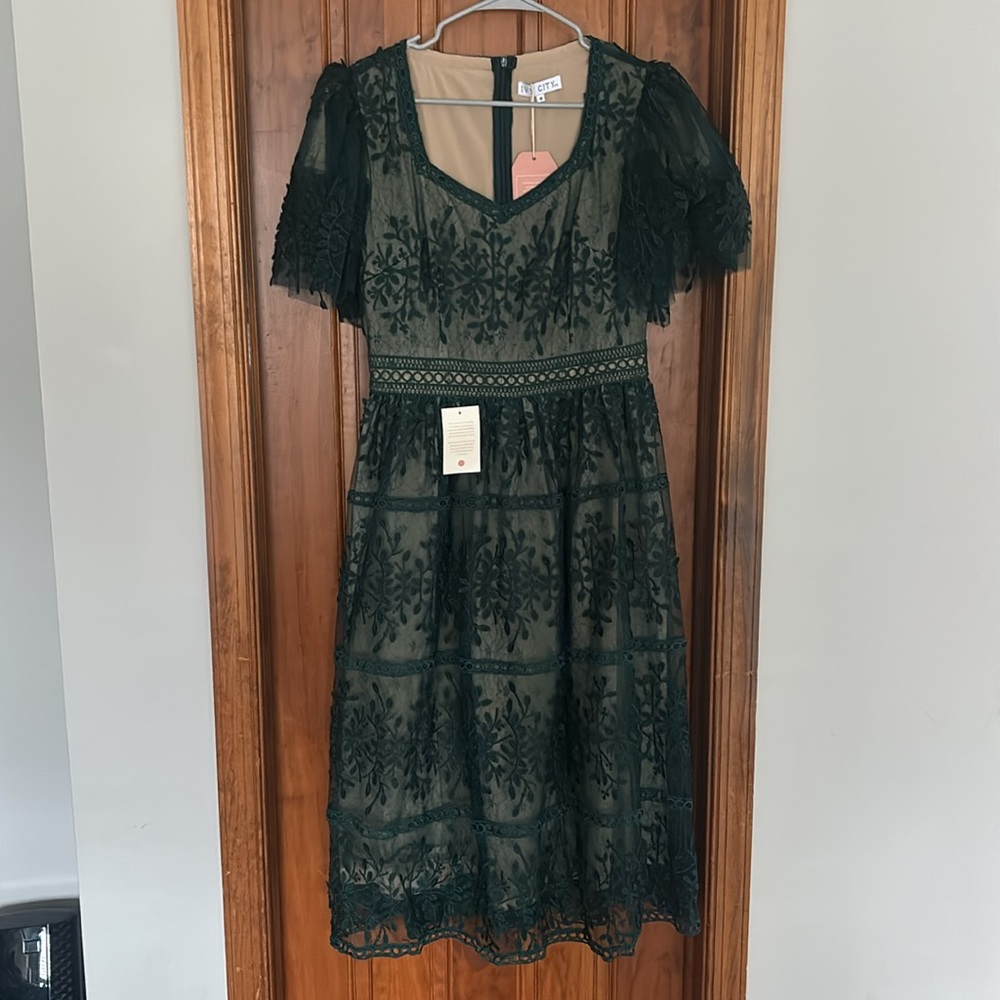 Beautiful Ivy City brand new dress in emerald!! Venice Style